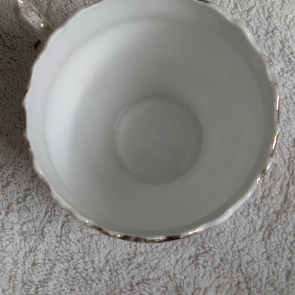 Dresden Porcelain Pink Floral Gold-Trim Teacup - Picture 6 of 6